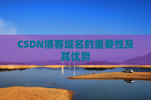 CSDN博客域名的重要性及其优势
